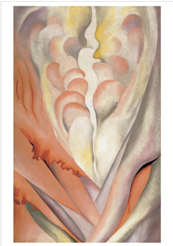 Georgia O'keeffe: Abstract Flowers Boxed Notecard Assortment