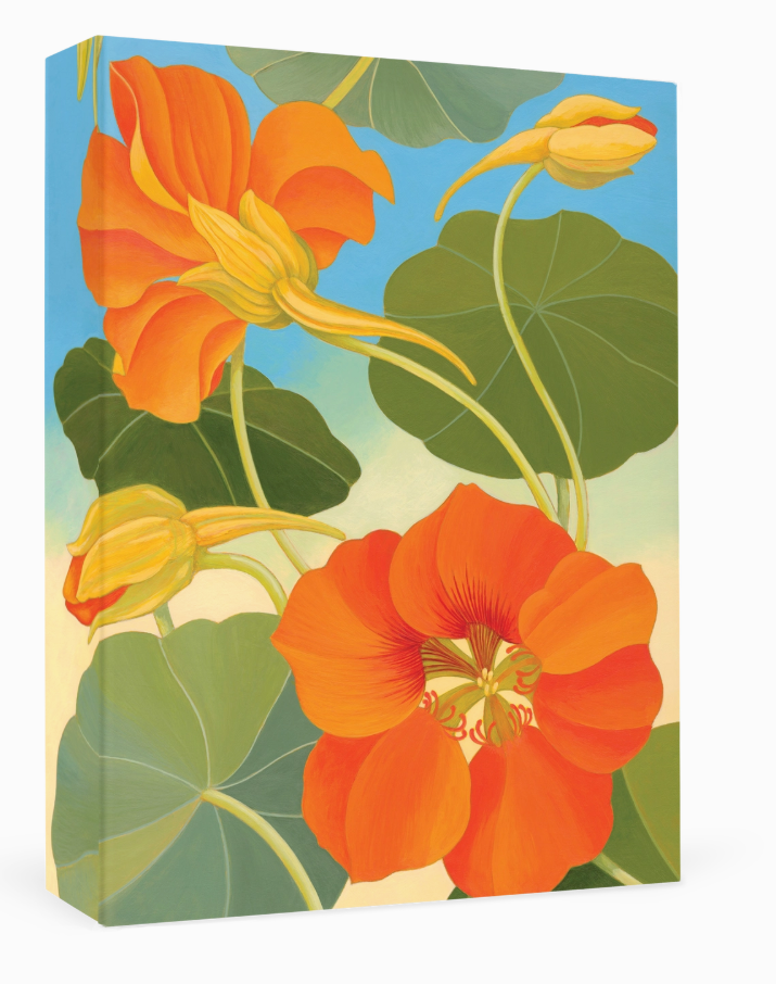 Siri Schillios: Nasturtium Boxed Thank You Notes