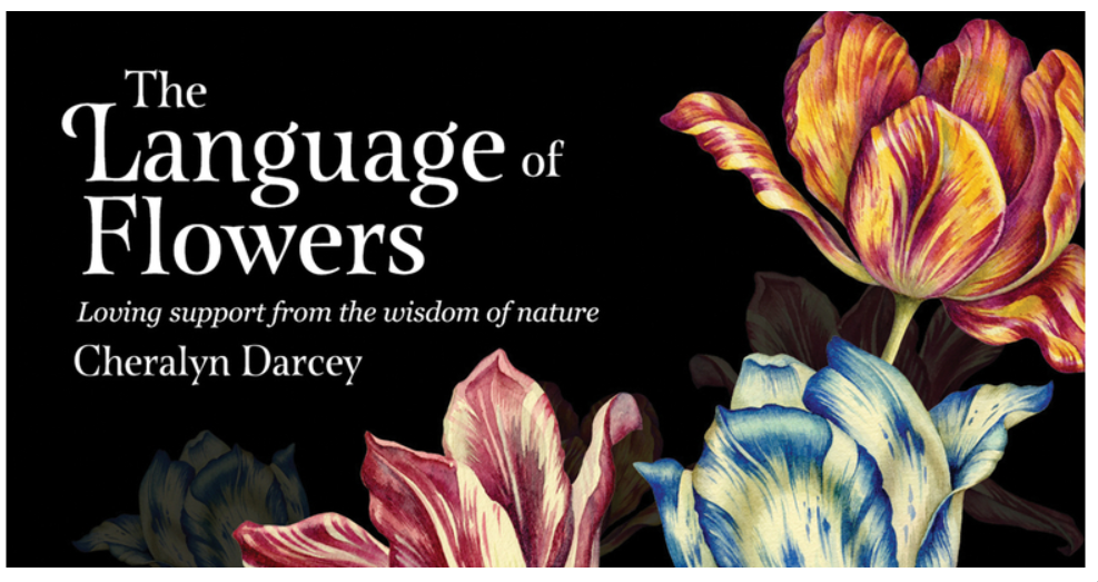 Language of Flowers By Cheralyn Darcey Tarot Deck