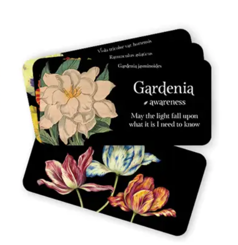 Language of Flowers By Cheralyn Darcey Tarot Deck