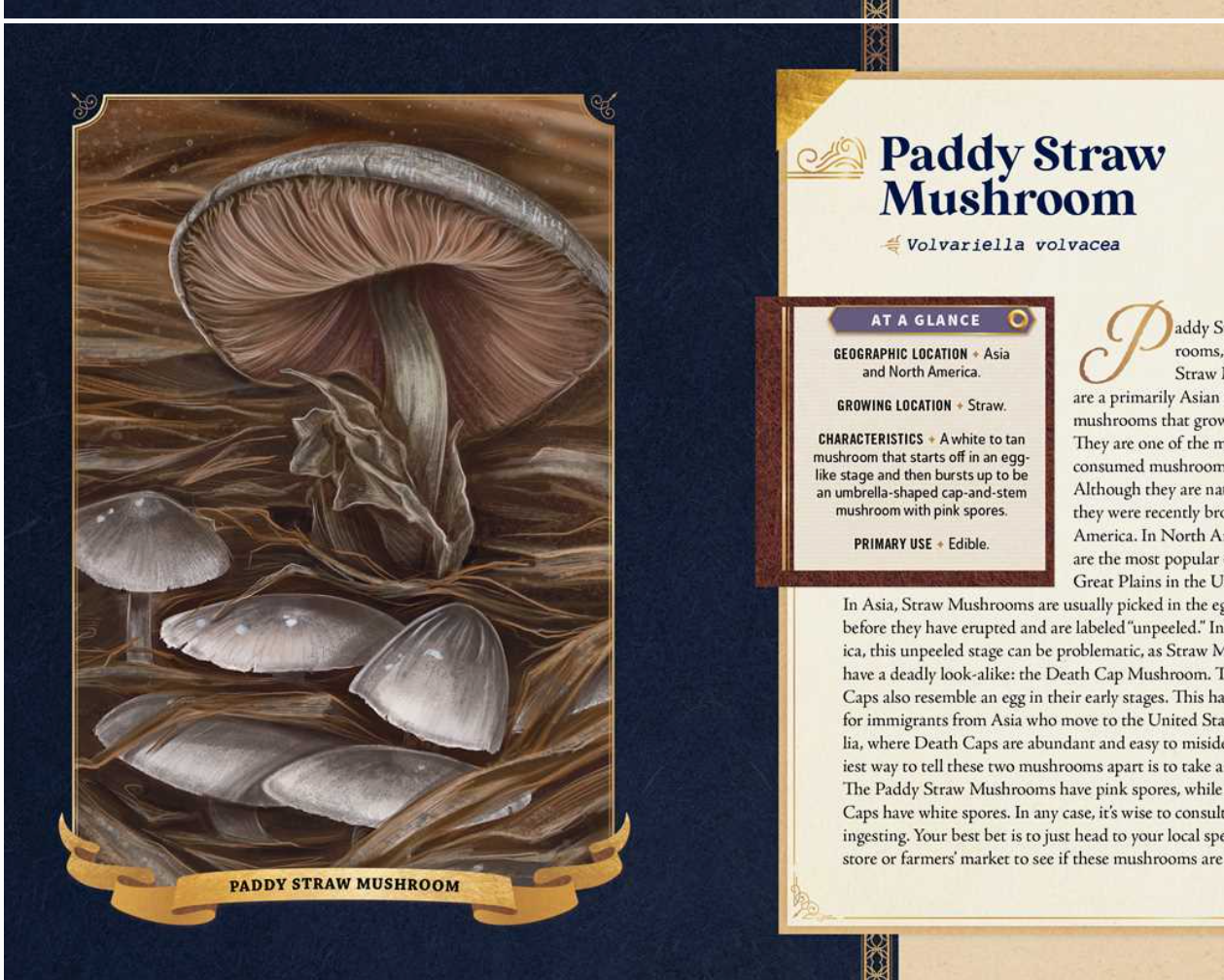 Little Book of Mushrooms By Alex Dorr