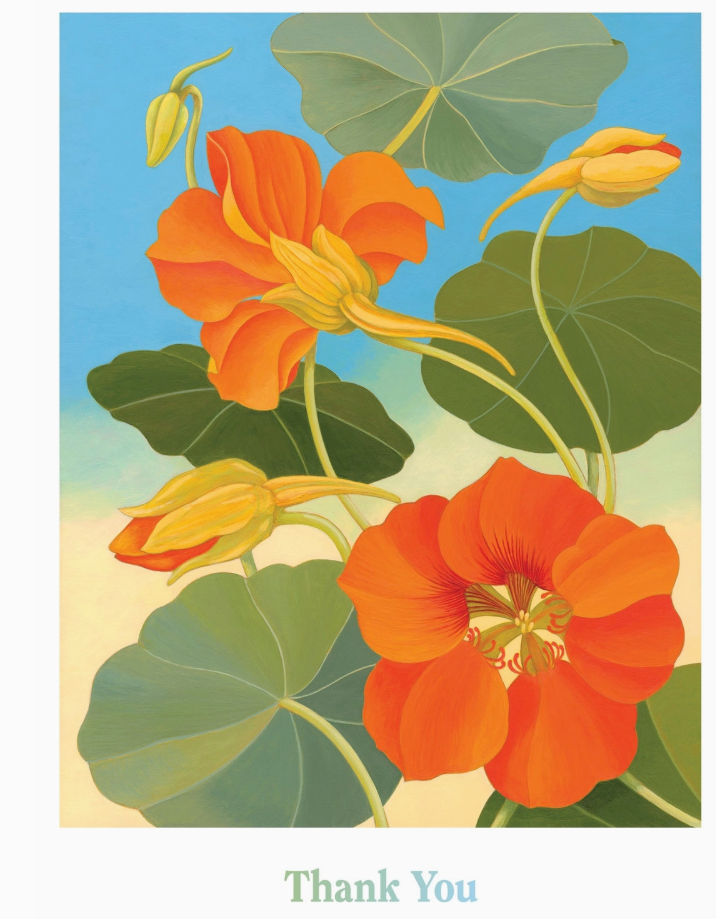 Siri Schillios: Nasturtium Boxed Thank You Notes