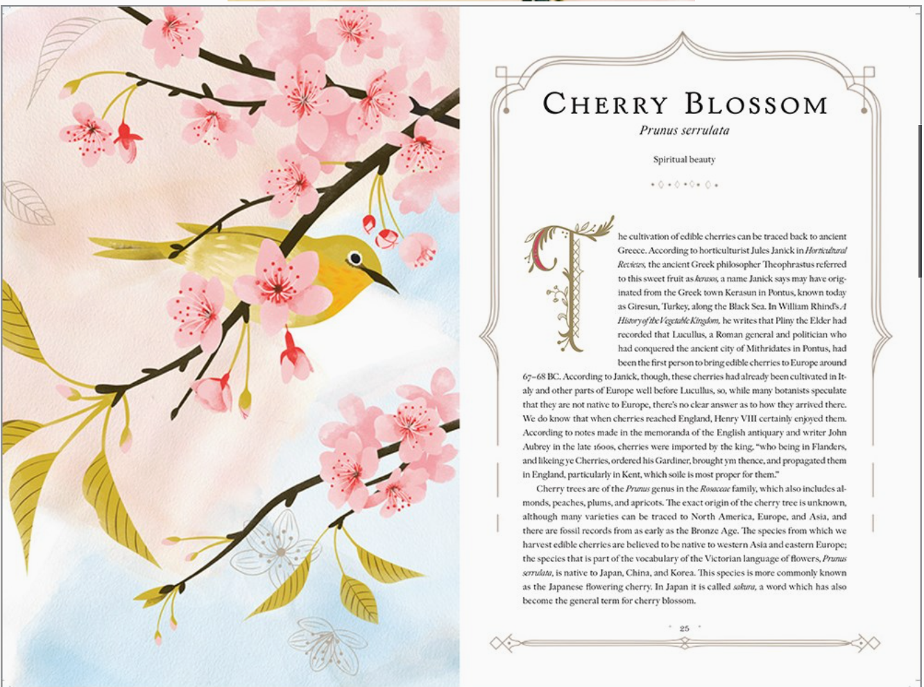 Language of Flowers, the: Odessa Begay