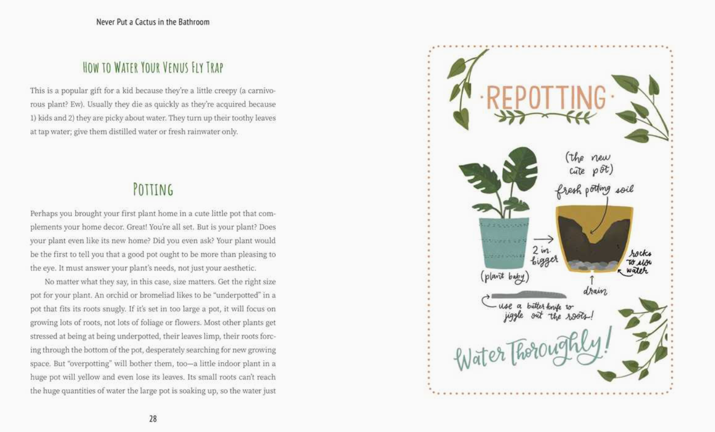 Never Put A Cactus in the Bathroom By Emily L. Hay Hinsdale Book