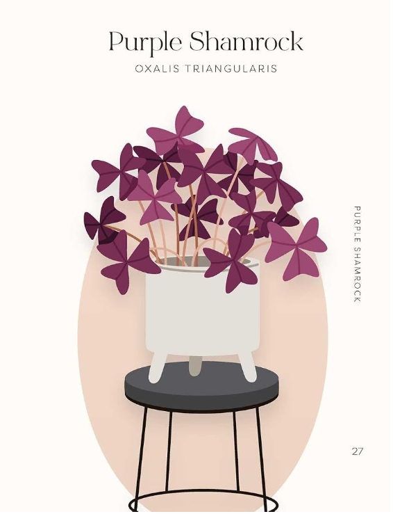 Houseplants and Their Fucked-Up Thoughts