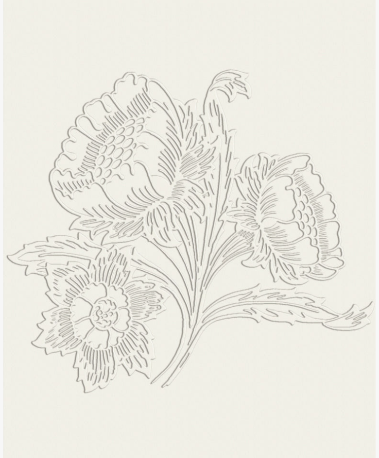 A minimalist botanical line art print featuring three stylized flowers and leaves in light gray on a warm cream background.