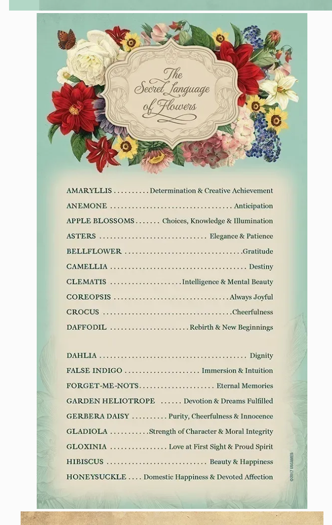 Botanical Inspirations Deck & Book Set