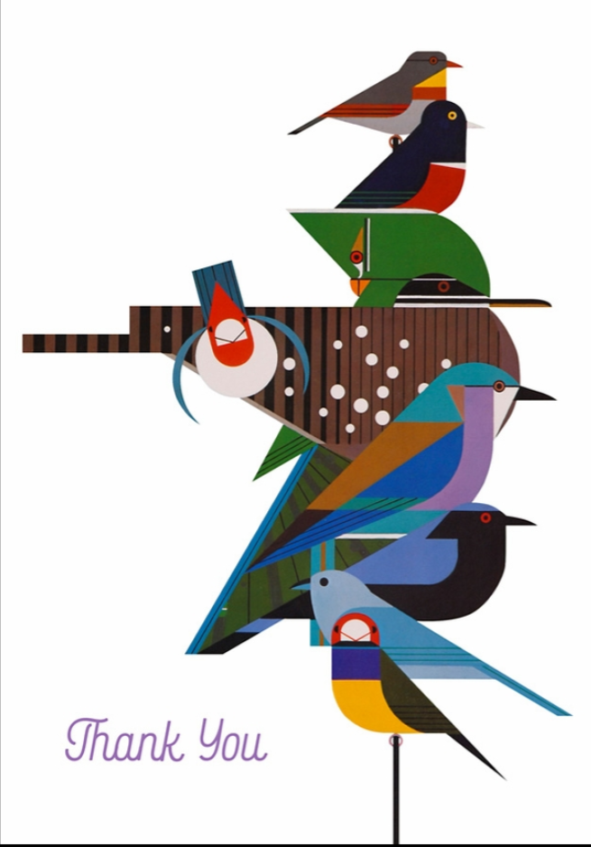 Charley Harper: Rainforest Birds Boxed Thank You Notes