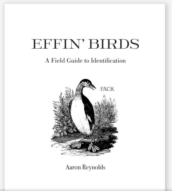 Effin' Birds Book by Aaron Reynolds