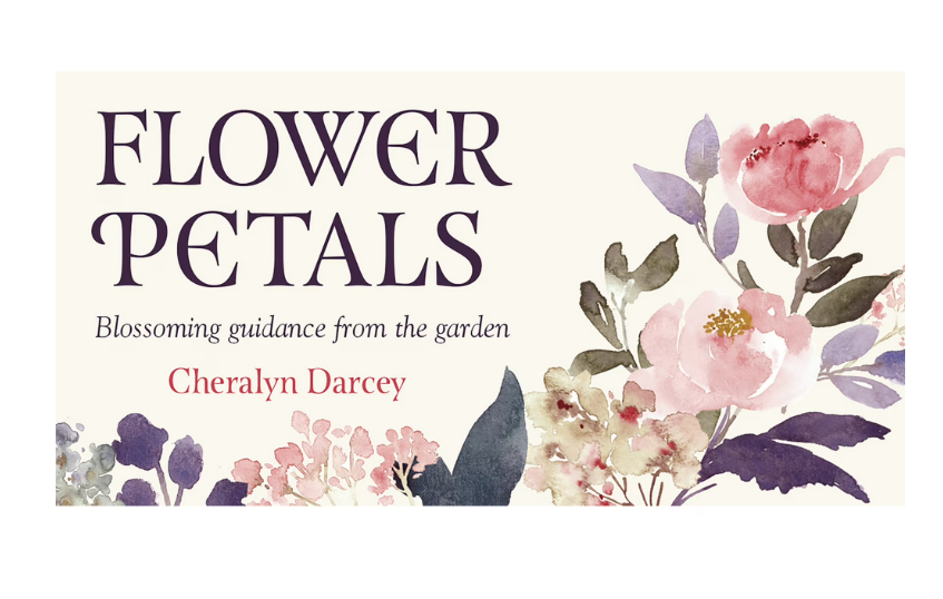Flower Petals Inspiration Cards