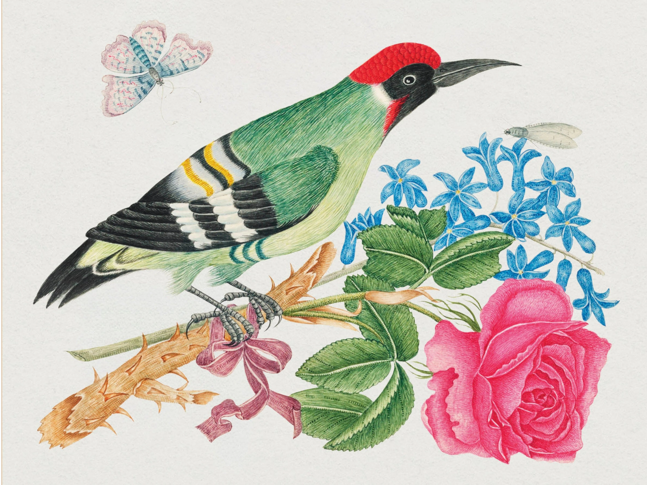 Flowers, Birds &amp; Butterflies Celebrations Boxed Notecards