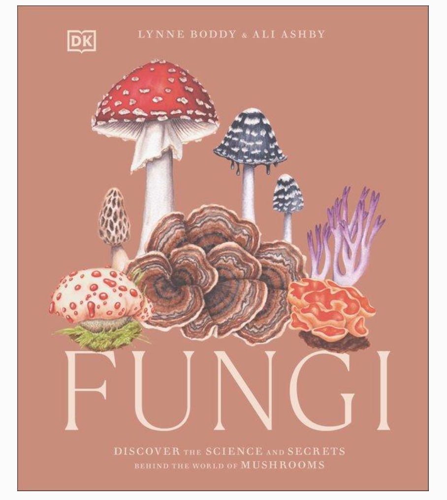 Fungi Book by Ali Ashby and Lynne Boddy