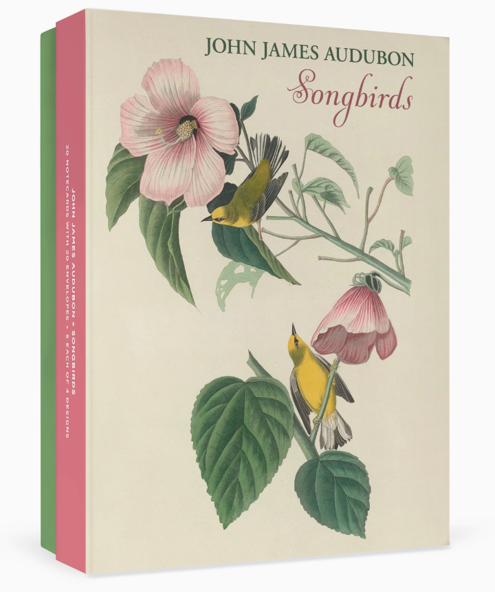 John James Audubon: Songbirds Boxed Notecard Assortment