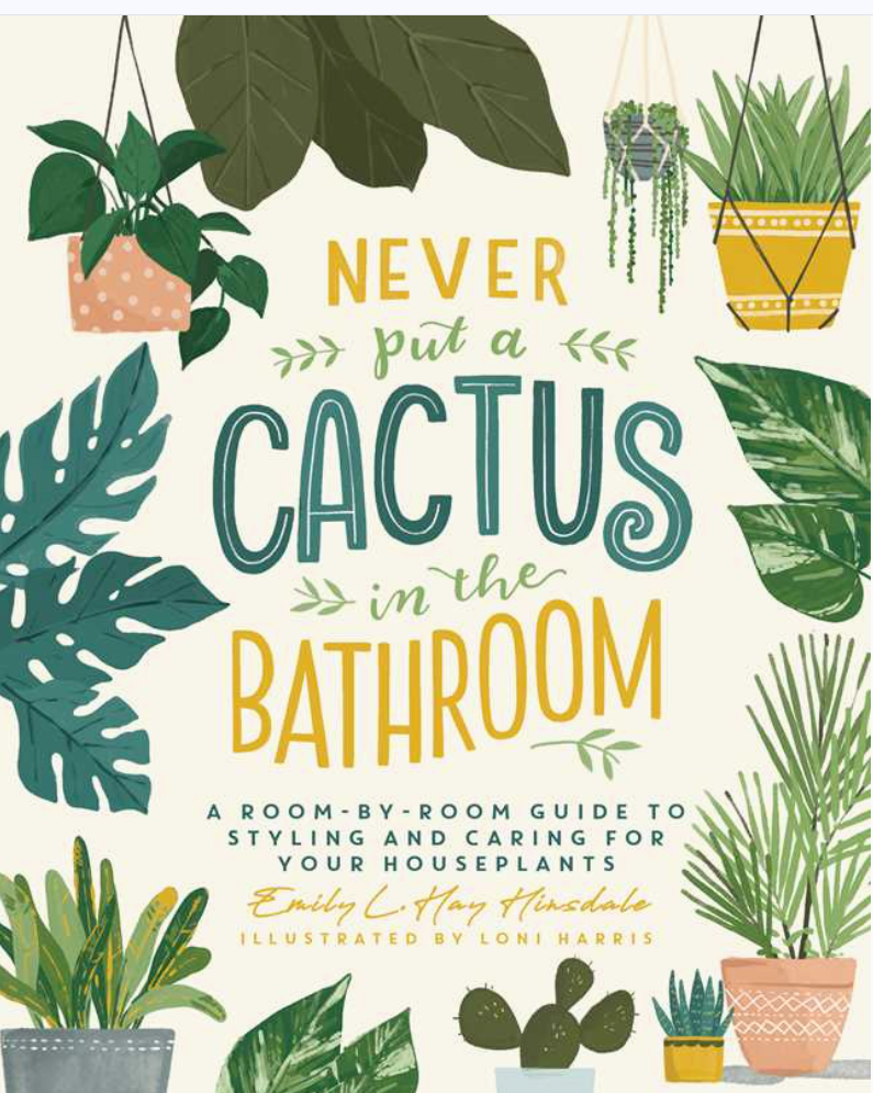 Never Put A Cactus in the Bathroom By Emily L. Hay Hinsdale Book