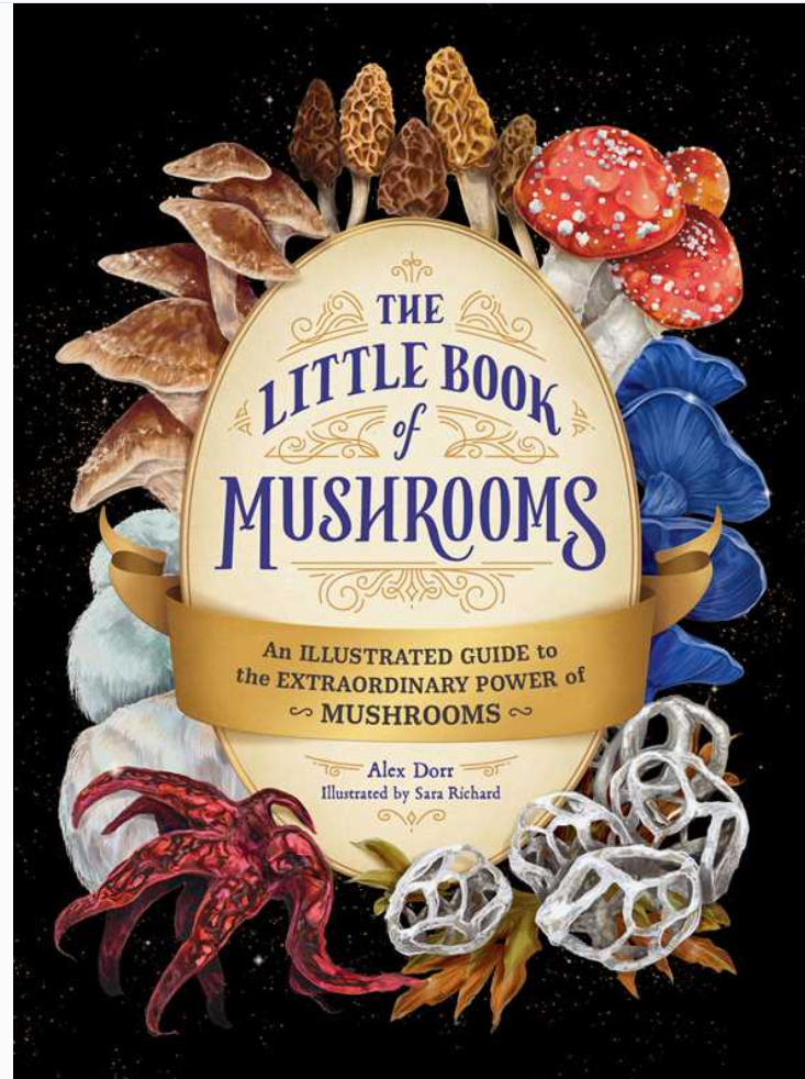 Little Book of Mushrooms By Alex Dorr